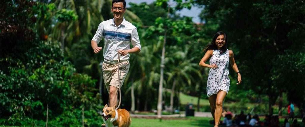 Family Running In a Park with Their Dog