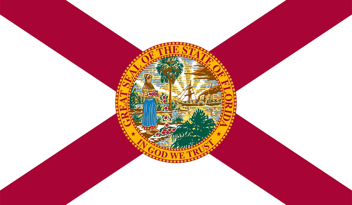 Close up graphical version of the Florida Flag