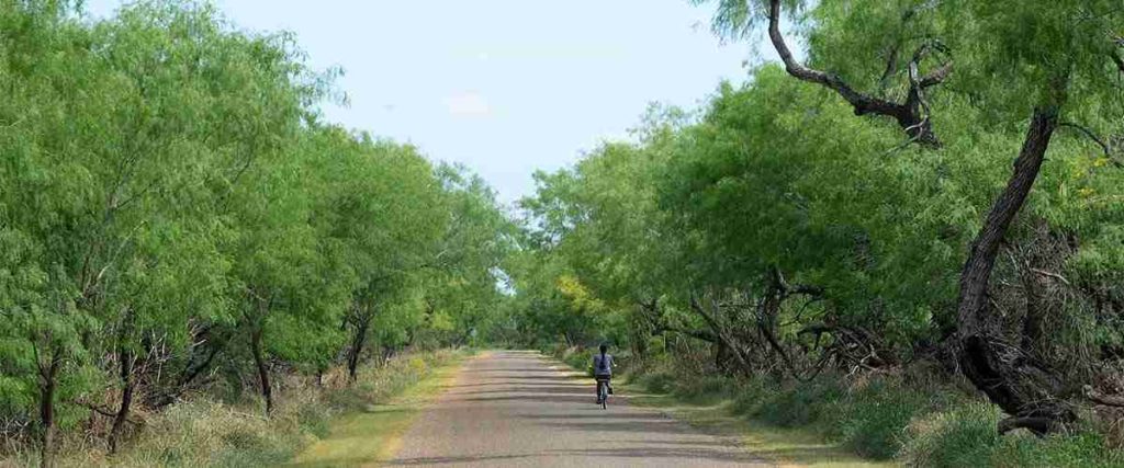 Woman Biking Alone in Rio Grande Valley