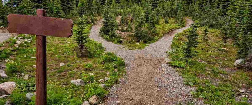 Path at the Cannell Meadow Trail
