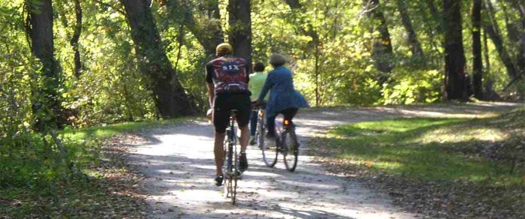 Two Cyclists on Bike Path