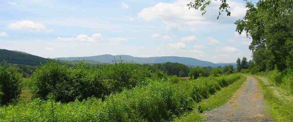 Trail of Catskill Scenic 