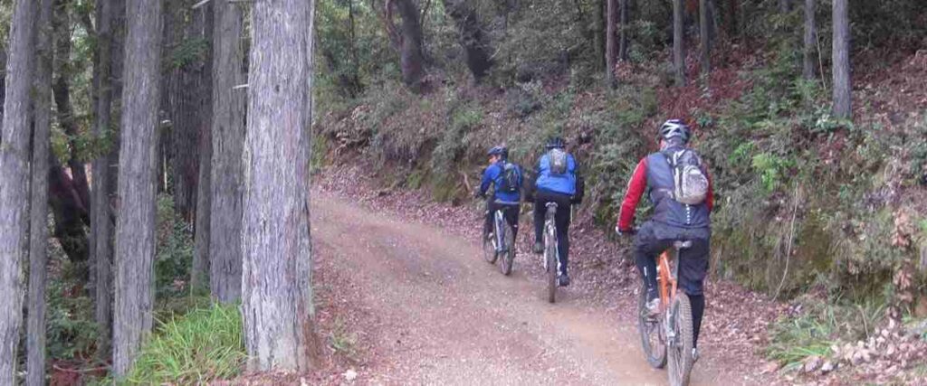 3 Bikers on Mohican Mountain Bike Trail