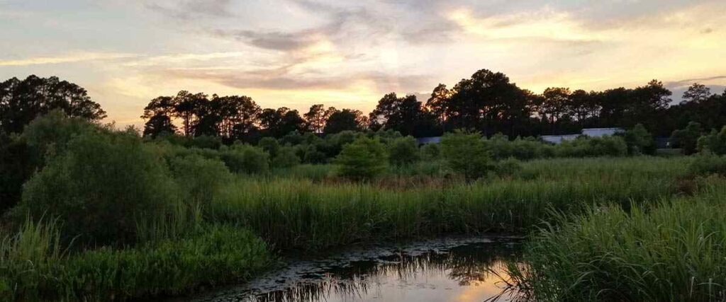 A sunset over the pond at E.L Wade Park in Wilmington, NC 