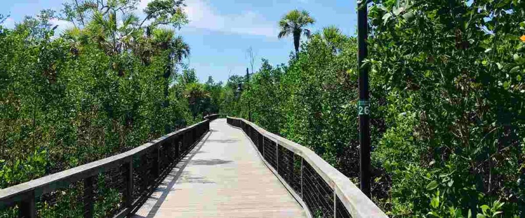 Bridge on East Coast Greenway Bike Path