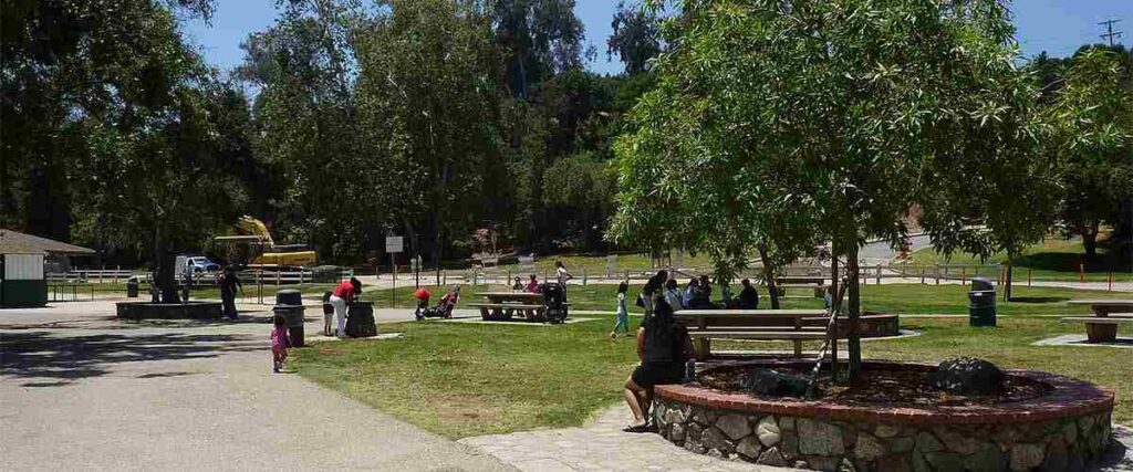 People sitting in Griffith Park.