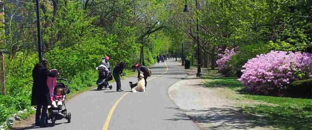 View of Sandy Hook path with various joggers, walkers, cyclists on the path.