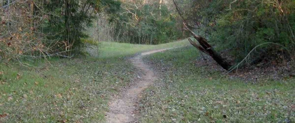A small trail in the Terry Hershey Park in the Houston area.