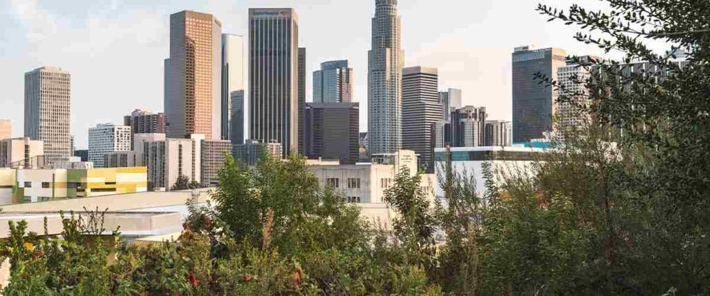 View of Downtown LA at Vista Hermosa Natural Park