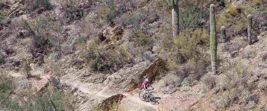 Female Cyclists on Black Canyon Trail.