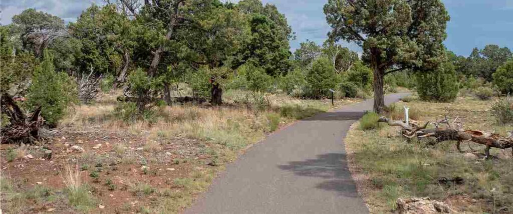 Section of paved path of Lake Havasu City Multi-Use Trail in Lake Havasu City, AZ.