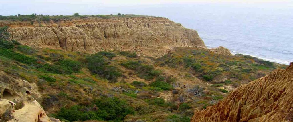 Coastal sage and chaparral sub-ecoregion habitat — at Torrey Pines State Reserve in San Diego, California.