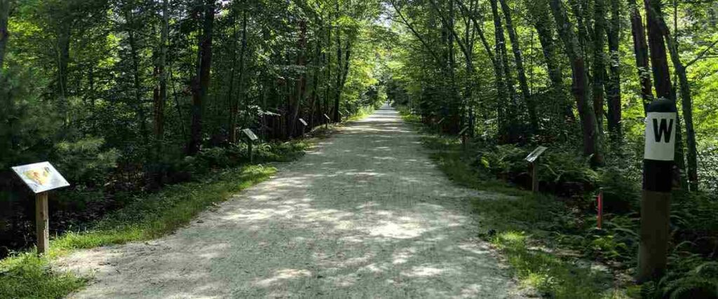 View of trail on Upper Charles Rail Trail, Holliston Massachusetts.