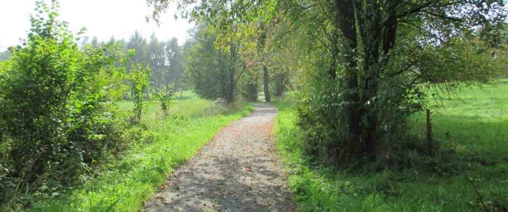 View of path at Bearskin State Trail.