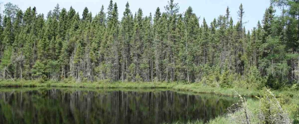 Lake on the Chequamegon Area Mountain Bike Association’s (CAMBA) regional mountain biking trail system.