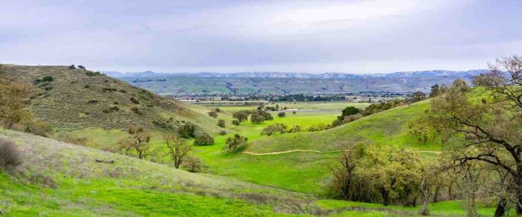 View of Coyote Valley Open Space Preserve