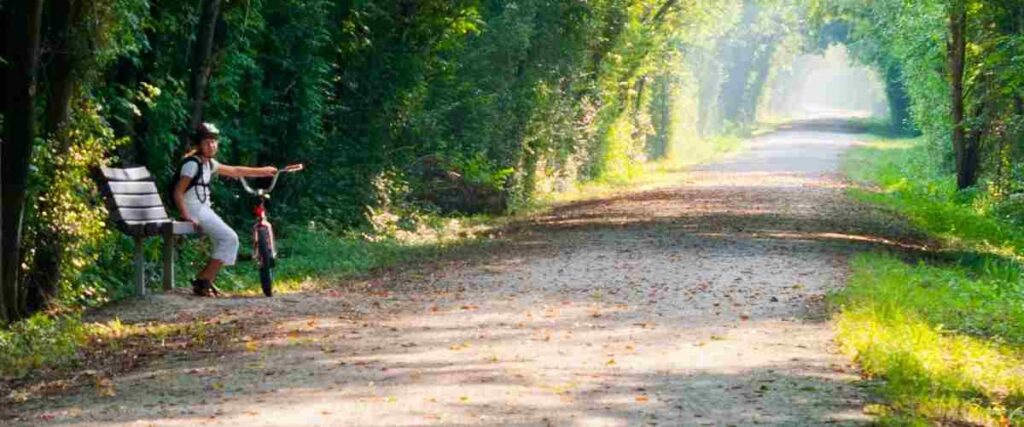 A young girl sitting on a bench with her bike on a tree covered trail. 