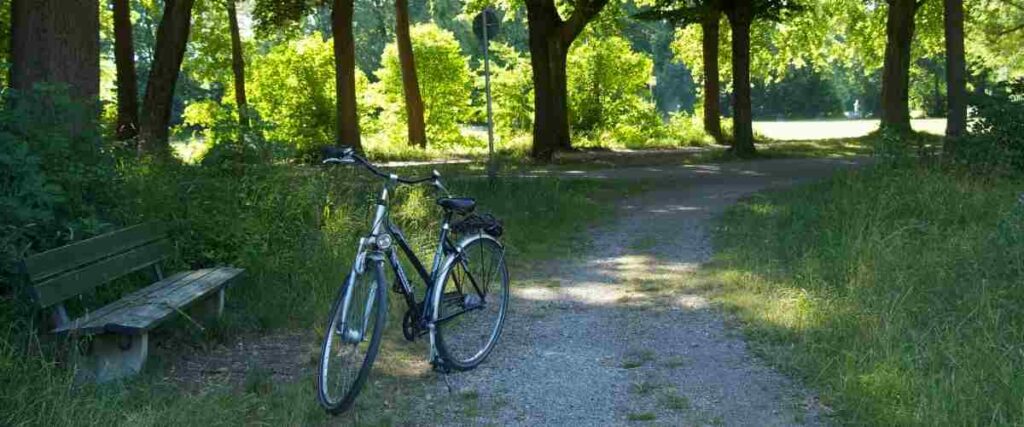 A bike parked next to a bench on a bike trail in the Lake of Ozarks State Park.