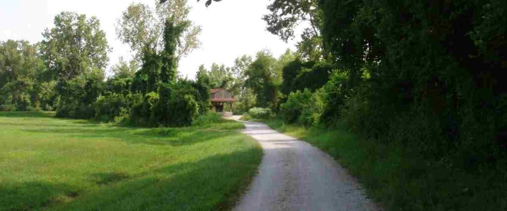 The path at MKT nature and Fitness Trail.