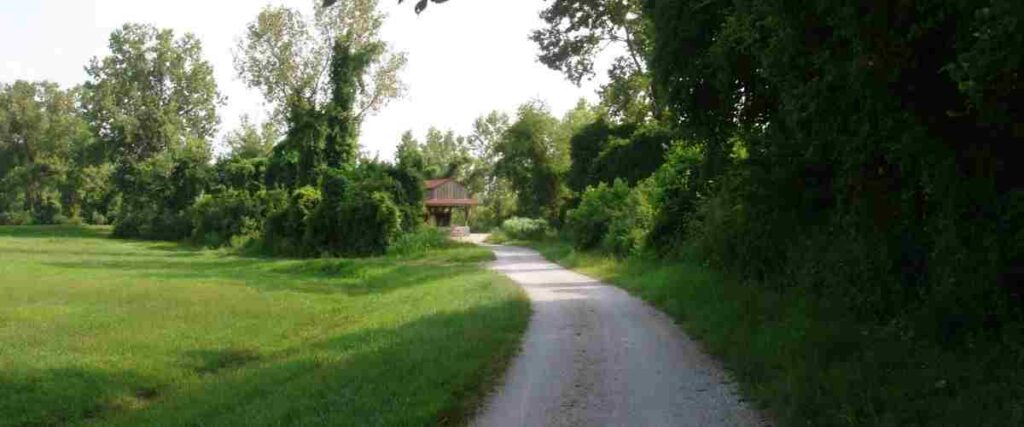 The path at MKT nature and Fitness Trail. 