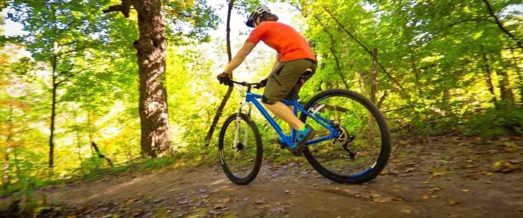 Male mountain biker on trail.