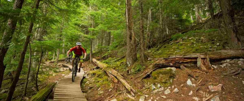 A mountain biker on a single track going down a hill at the Two Rivers Bike Park. 