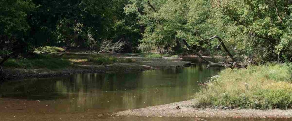 A part of the Walnut Creek Metro shore.