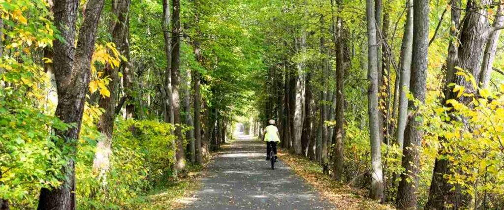 VIew of female cyclist on paved path on a greenway. 