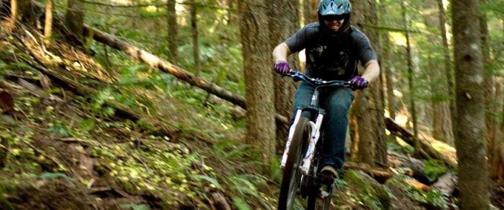 Mountain biker mid jump in forest.