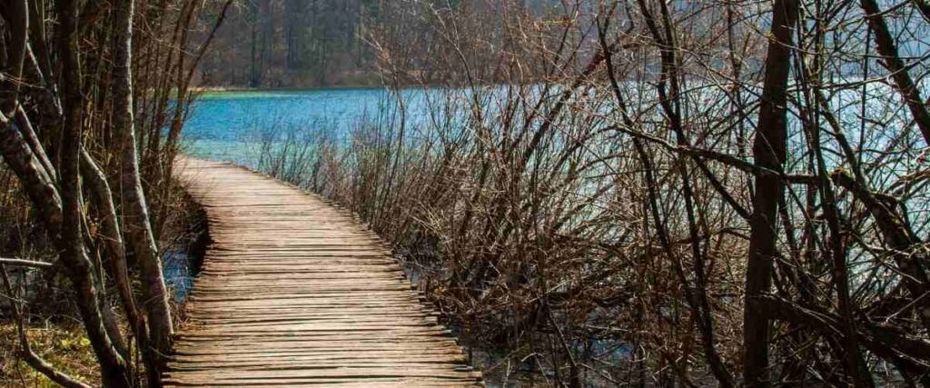 Curved wooden pier on lake. 