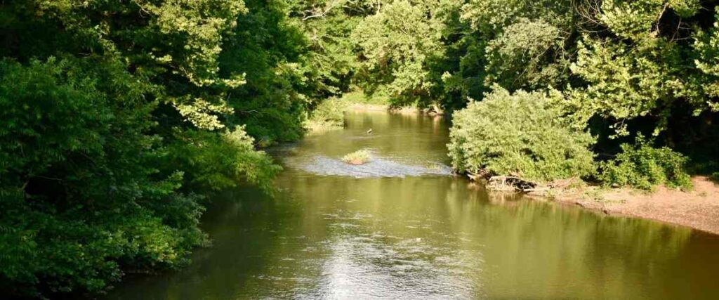 The Harpeth River during the summer. 