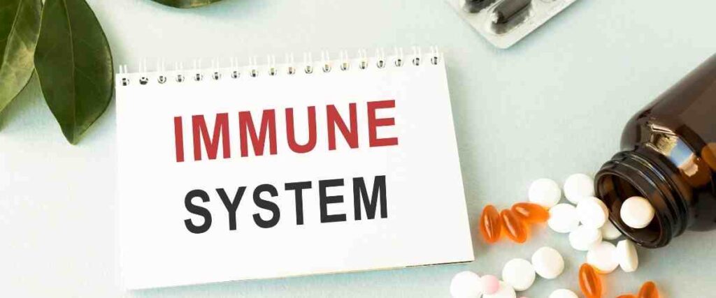 A pad of paper with the words "immune system."
