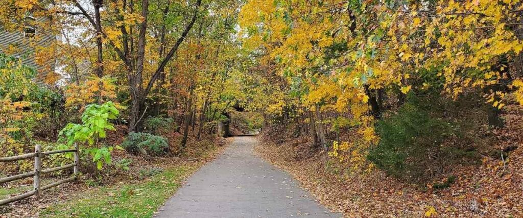 Farmington Canel Trail in fall. 