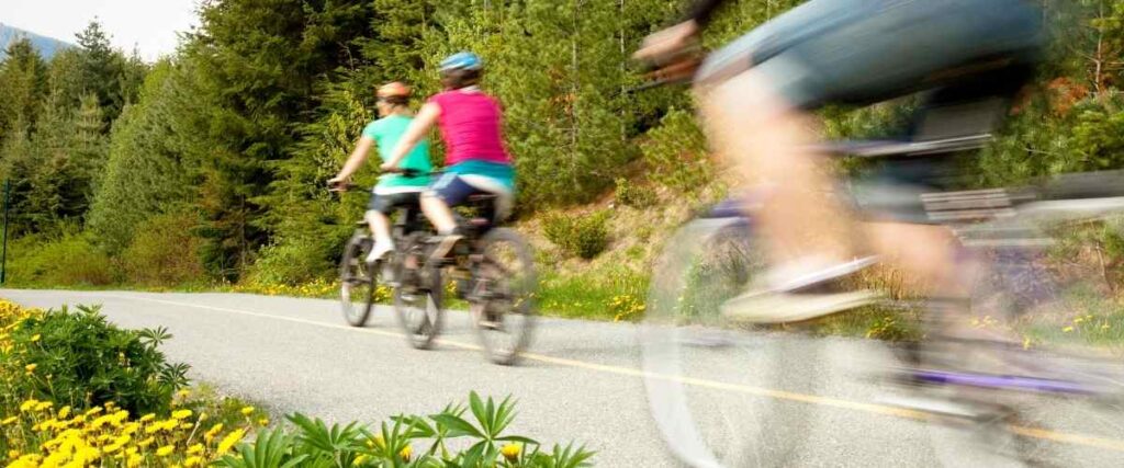 Cyclists on bike path.