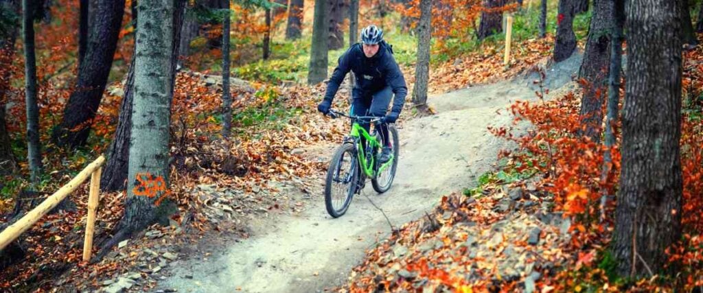 Mountain biker going down trail.