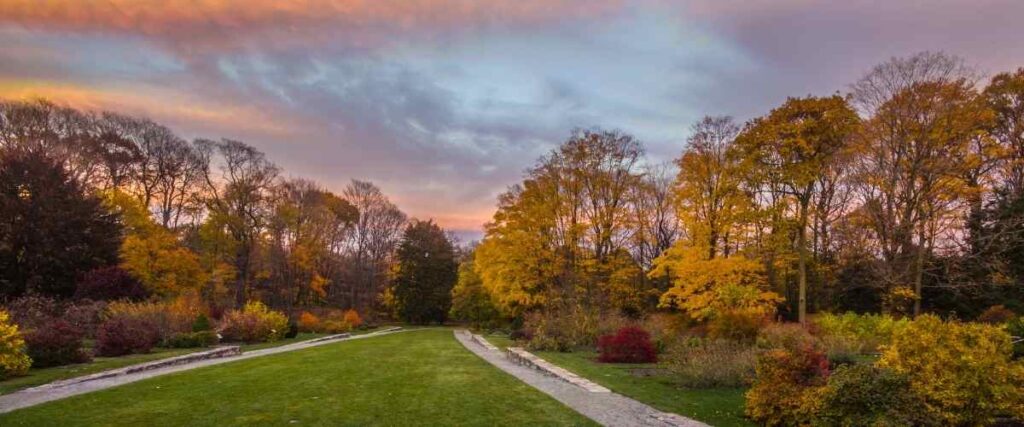 A corner of the Arnold Arboretum at Harvard University. 