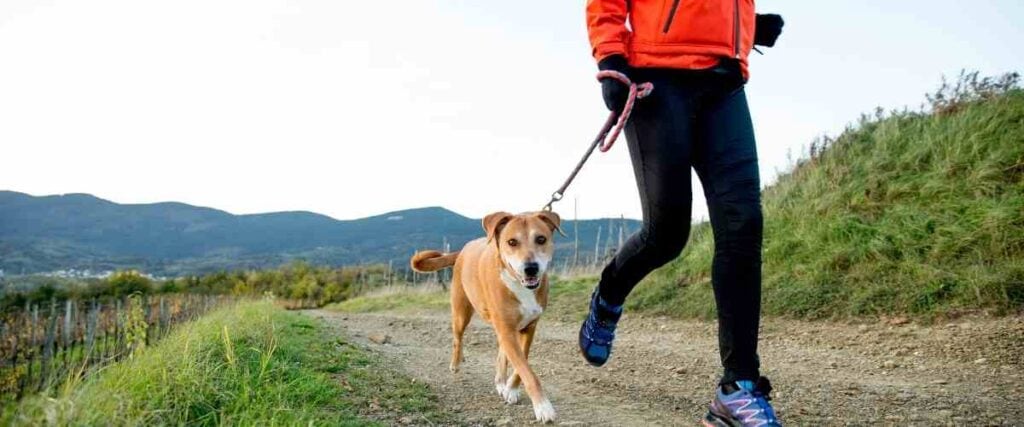 Runner with dog on dirt trails.