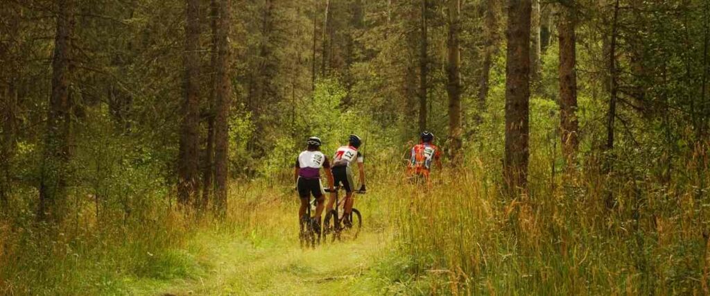 Cyclists in woods bike trail.