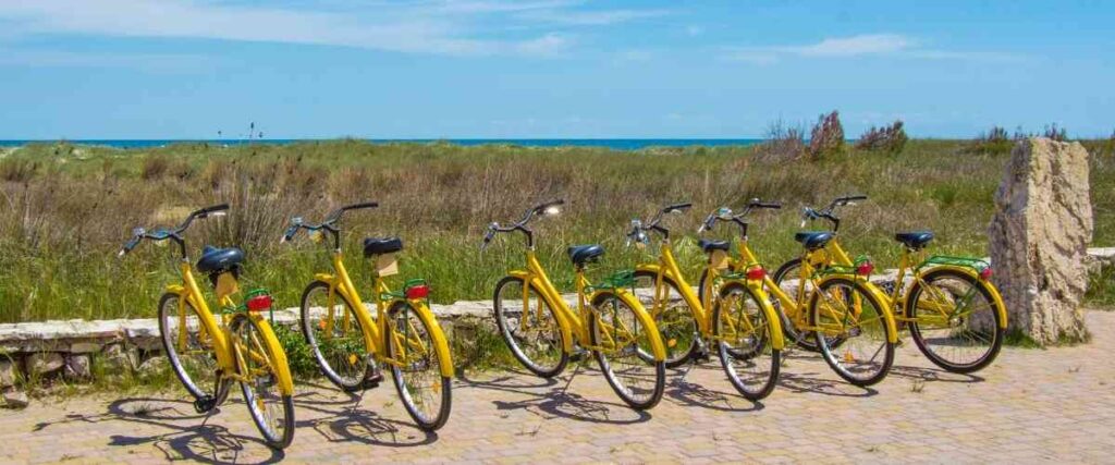 9 yellow bikes on a paved path parked, next to the ocean. 