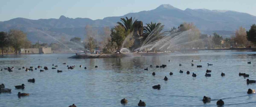 Lake full of ducks at Sunset Park in Nevada.