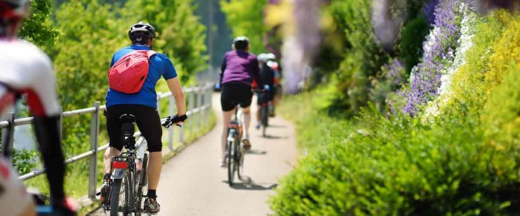 A group of cyclists on bike path. 