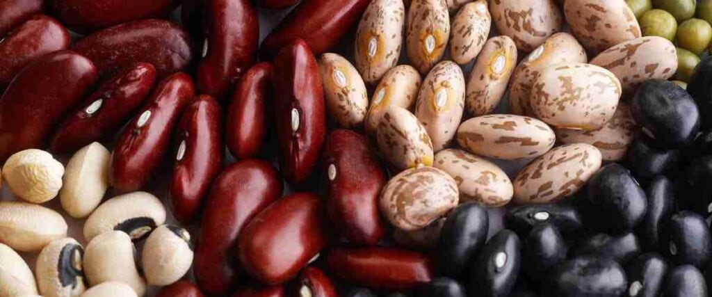 mixture of different beans