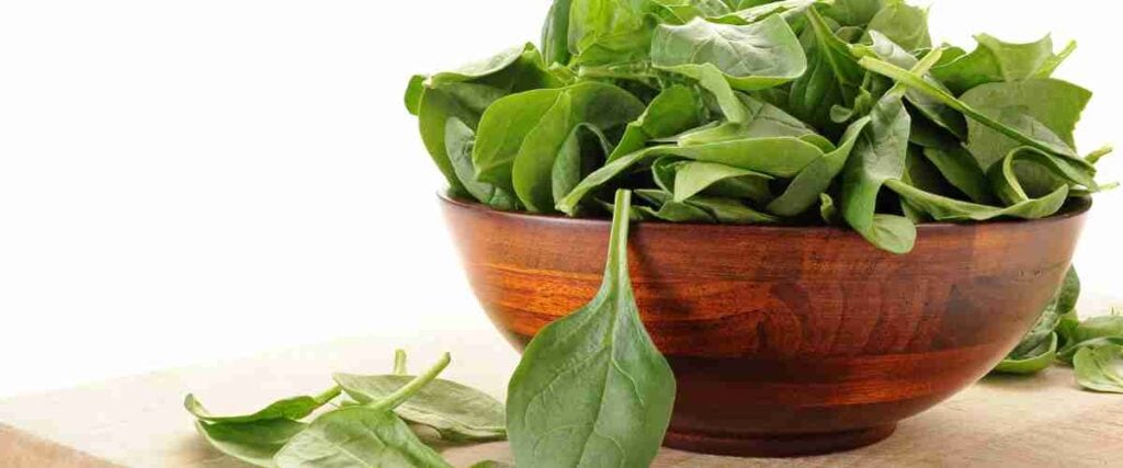 bowl of spinach
