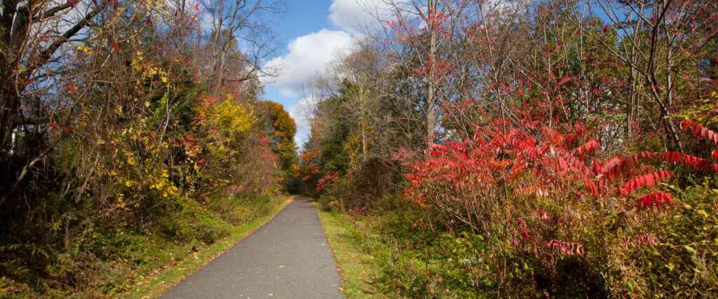 Muhlenberg County Rail Trail during the fall with lots of different colors of leaves on an empty trail. 