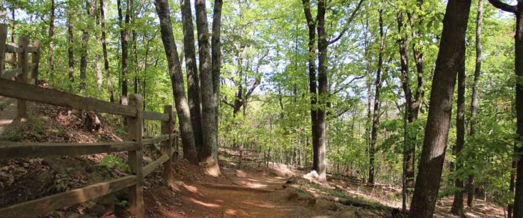 Running trail in Atlanta. 