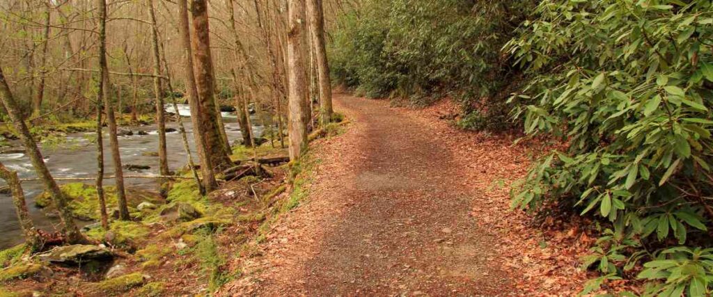 Running route in West Palisades Trail. 