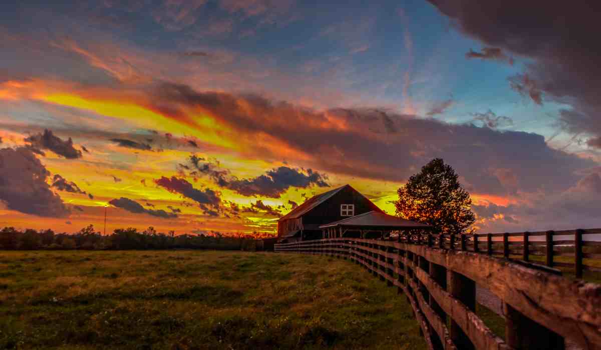 Beautiful skyline in Kentucky with a view of a farm house and wooded fence in the background. 