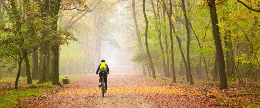 A cyclists on a bike trail in the middle of a forest during fall. 