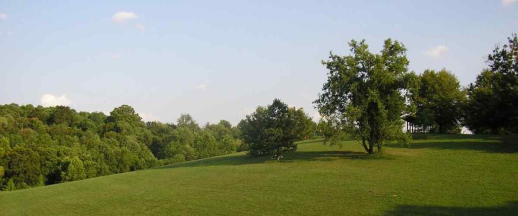 Cherokee Park during a warm summer day with green grass!