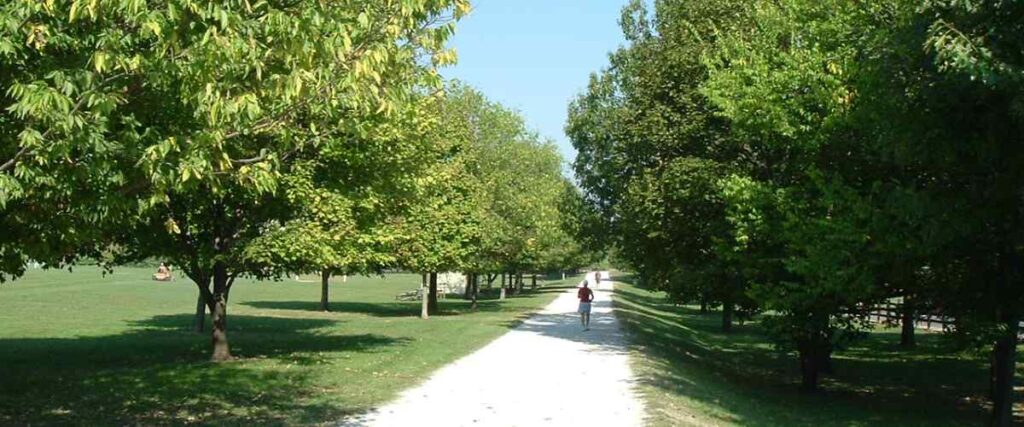 Path on the E.P. Tom Sawyer State Park during the summer months. 
